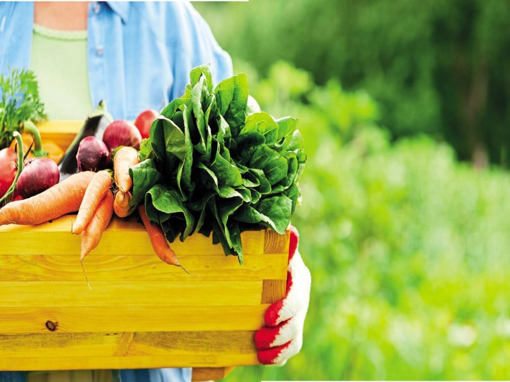 Микробиологические удобрения