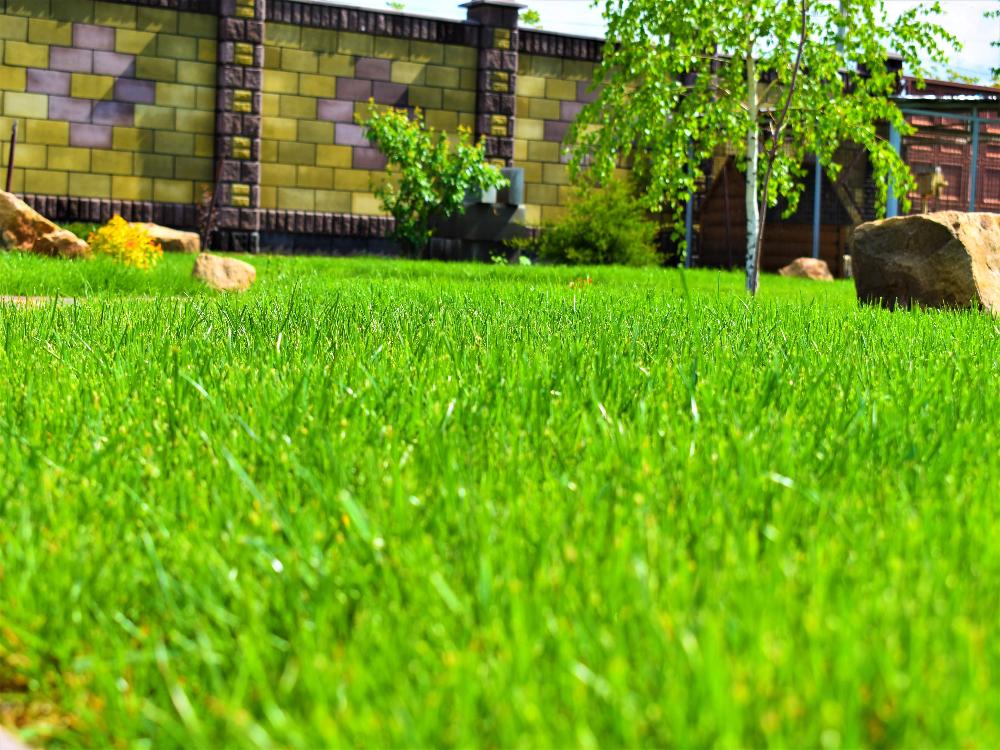 Удобрения для газона